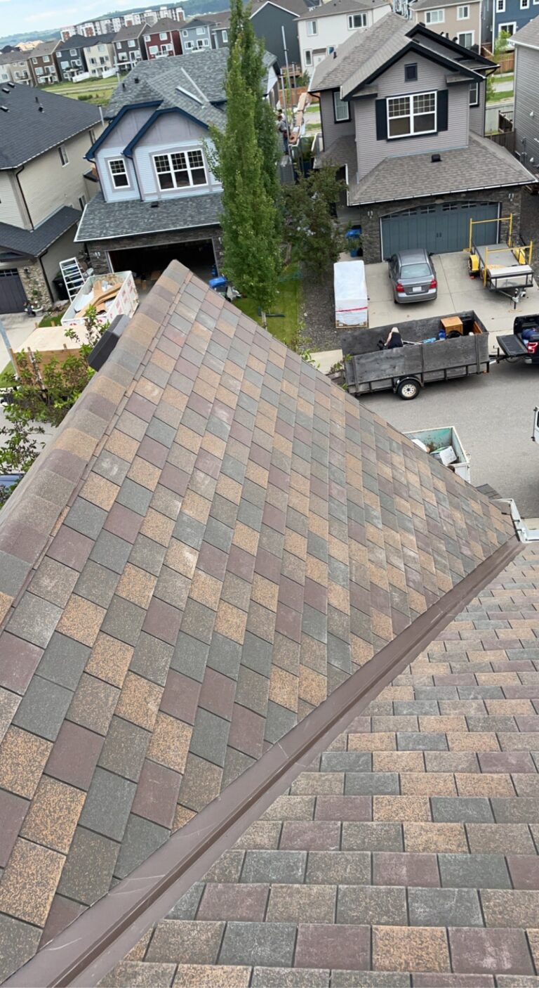 A top-down view of a roof that is not leaking