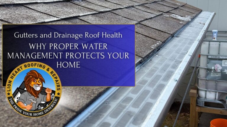 Gutters and Drainage Roof Health