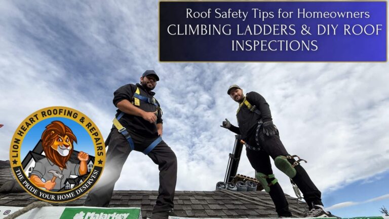 Roof Safety Tips for Homeowners